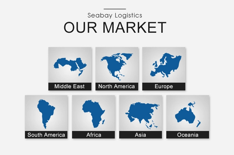 China FCL Container Ocean Freight to Montreal or Canada Warehouse Consolidation Service