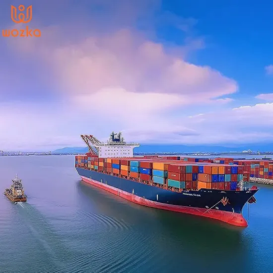 Ведущий китайский экспедитор с кредитом AAA, Шэньчжэнь, таможенный брокер Гуанчжоу